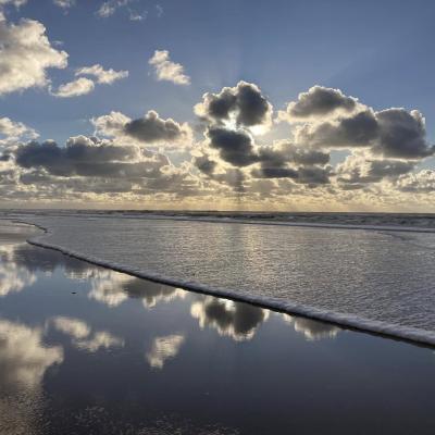 Profile picture for user raach melanie