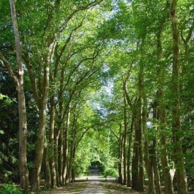 Profile picture for user GAMBET ANNE