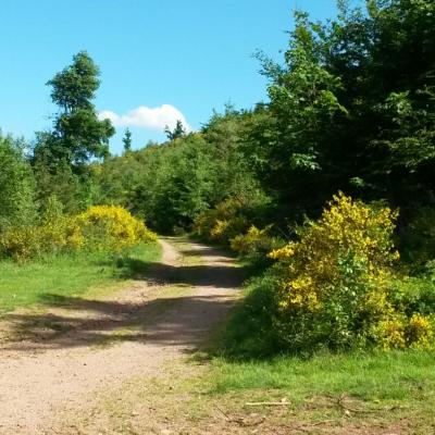 Profile picture for user Leduc Maire Sylvie